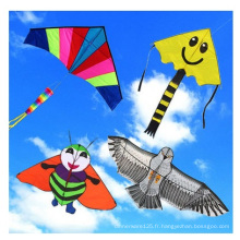 Cerf-volant de vol en nylon populaire coloré promotionnel